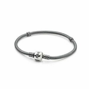 Pandora Charm Bracelet